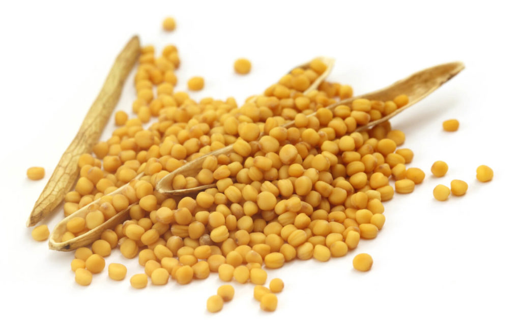 MustardSeed03 Wisconsin Spice